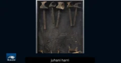 Juhani Harri – esineiden runoilija ja hiljaisen intensiteetin mestari